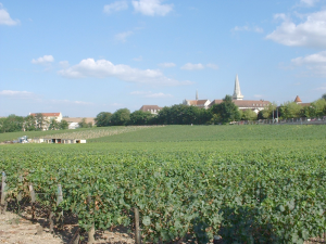 Le Clos de la Chaînette