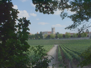 Le Clos de la Chaînette, topographie