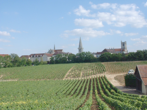 Le Clos de la Chaînette